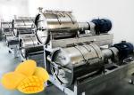 Stable Performance Mango Processing Line Mango Concentrate Turnkey Solution