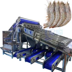China Fully automatic multi-functional fish and shrimp sorting and grading machine Customized roller rapid shrimp grading mach wholesale
