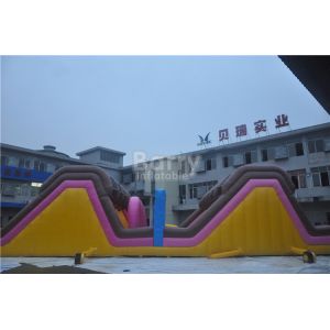 Custom Amusement Amazing Adults Inflatable Obstacle Course With Swimming Pool