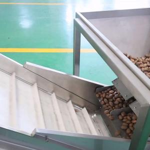 China 380V 8 Exits Pecan Nuts Sorting Machine CE Approved 2 Tons Capacity wholesale