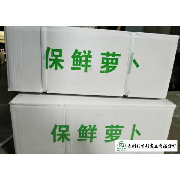 Delicious Fresh White Radish Thin Skin High Moisture Content Easy Storage