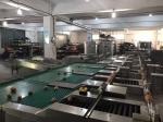 Multiple Nozzle Egg Batch Code Printing Machine With 0 - 5mm Printing Distance