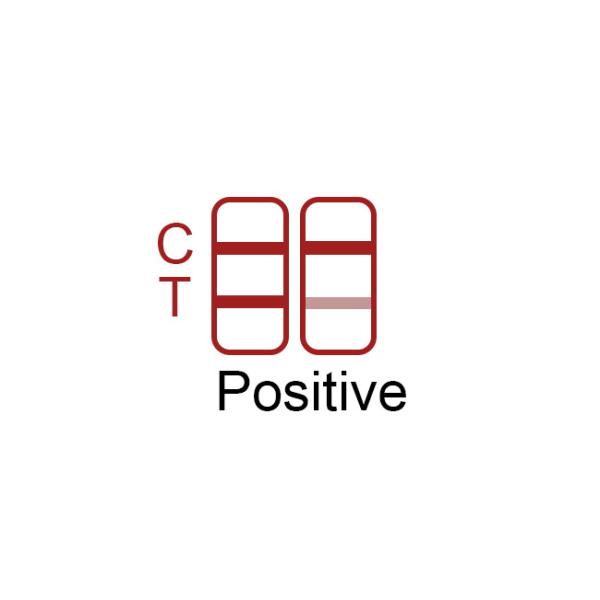 99.68% Accuracy SARS-CoV-2 Antigen Self Test Kit 25 Tests/Kit CE For Nasal Swab