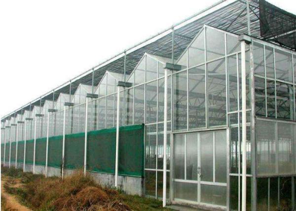 Quality Agricultural Polycarbonate Sheet Greenhouse Double Arch Multi Span Structure Frame for sale