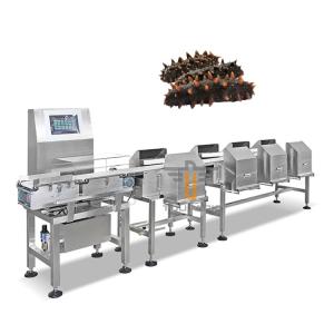 China Fish Shrimp Trepang Weight Sorting Machine Automatic Conveyor Belt Grader Sorter Machine on sale