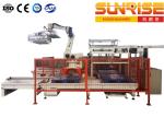 Robot Palletizing System 20 Boxes Per Minute Single Station Robot Palletizer