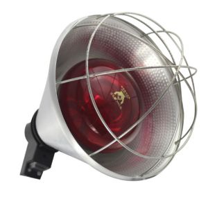 China Clear Bulb Animal Infrared Heating Lamp Explosion Proof Heavy Glasses wholesale