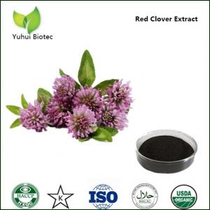 China red clover extract,natural red clover extract,clover extract,red clover extract powder wholesale