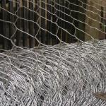 Rustproof Galvanized Wire Mesh Hexagonal Gabion Basket 4x1x1 Gabion Box For