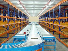 Horizontal Carousels Automated Storage Solutions , Warehouse ASRS Logistics System