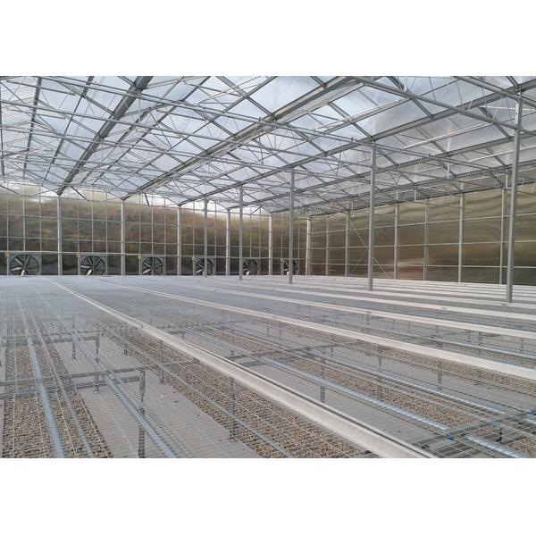 High Transparency & Durable PC Material, Spacious Interior PC Greenhouse - Ideal For Year Round Plant Cultivation