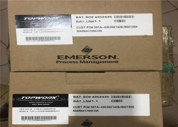 Emerson TXP-P2CGNPM Wireless Programmable Logic Controller Low Profile Position