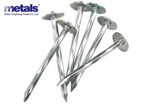 China Bulk Clout Electro Galvanized Roofing Nails 5mm-12mm on sale