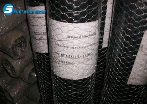 hot-dipped hexagonal wire mesh / welded galvanized gabion wire mesh / eric wire mesh