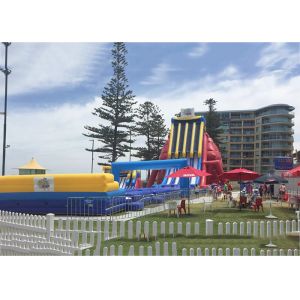 Outdoor Entermainment Inflatable Water Slide With Pool Fire Retardant