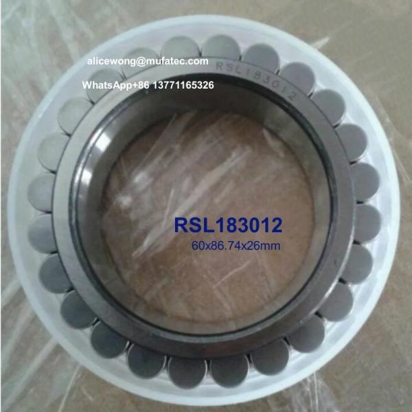RSL183012 printing machinery bearings cylindrical roller bearings without outer