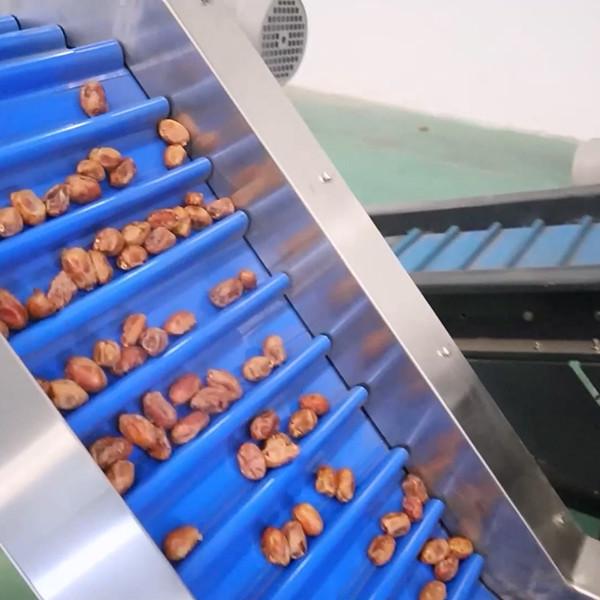 Unlocking Efficiency Revolutionizing Palm Dates Sorting Machine with Cutting