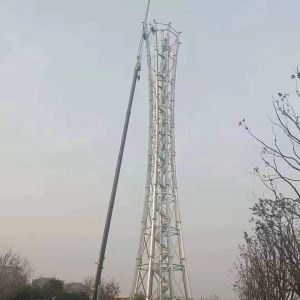 High Quality Self-supporting Galvanized Steel Observation Tower Quality