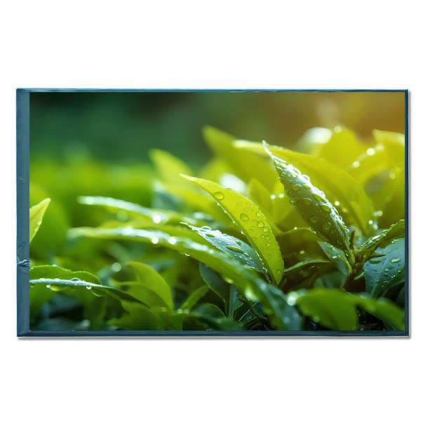 Quality IPS 8 Inch TFT LCD Monitor Module MIPI Interface Medical LCD Monitor for sale