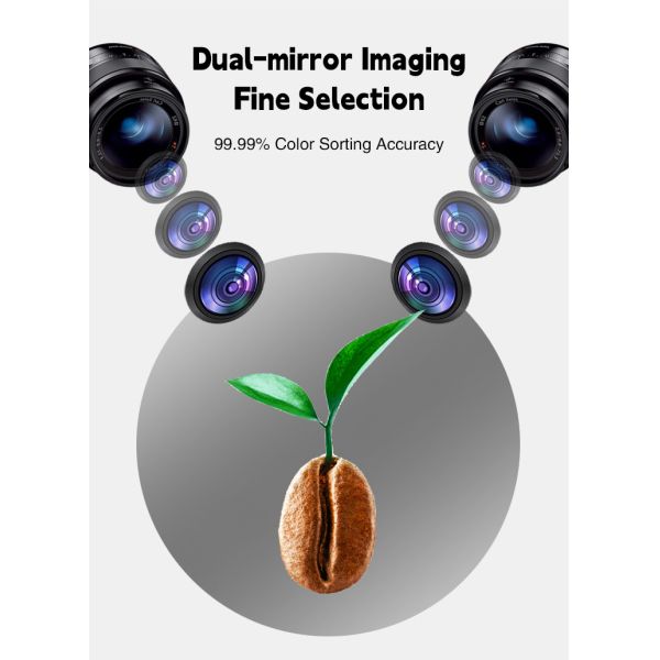 Coffee Beans Rice Grain Color Shape Sorting Machine Ccd Optical Technology For Dry Vegetables