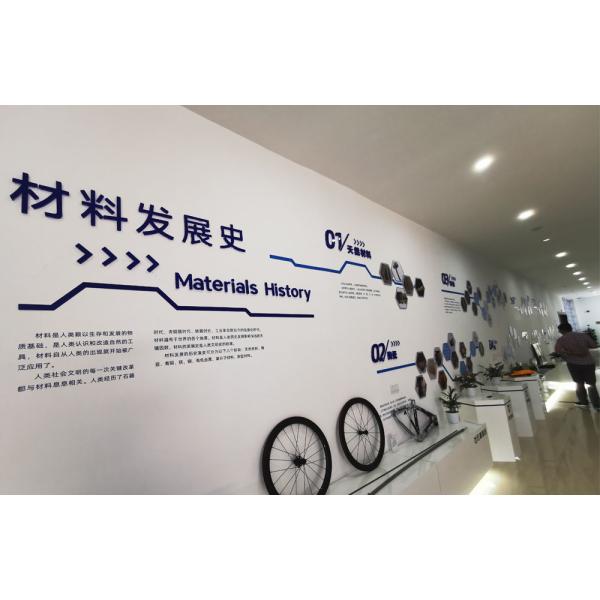 20 Inch Electric Fat Tyre Bike for Adult Customized Vintage E Dirt Bike Beach Bikes Cruisers