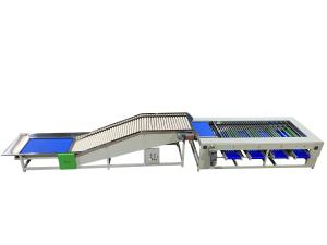 Stainless Steel Roller Sorting Machine With Automatic Sorting Functionality