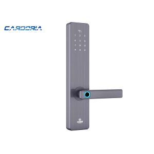 China APP Control Smart Keyless Fingerprint Lock OEM / ODM Service Accepted on sale