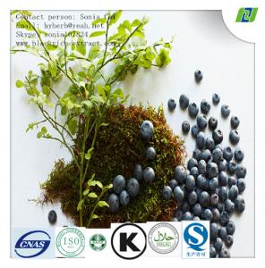 China Bilberry Extract for eye health wholesale