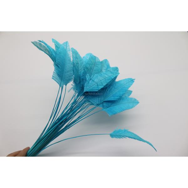 25-30cm Decor Millinery Feather , Head Arrow Stripped Ostrich Plume Feathers