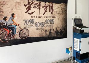 China High Productivity and speed double epson dx-10 nozzle digital wall printing machine for wall usage 2 years on sale