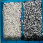 Full-color high-definition CCD Camera Ore Optical Sorting Machine