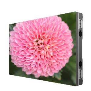 P1.875 Fine Pixel Pitch Outdoor LED Display SMD1415 For Commercial Advertising