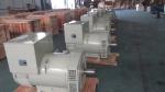 300KW Double Bearing Alternator With First Class AVR IP22 AC Single Phase