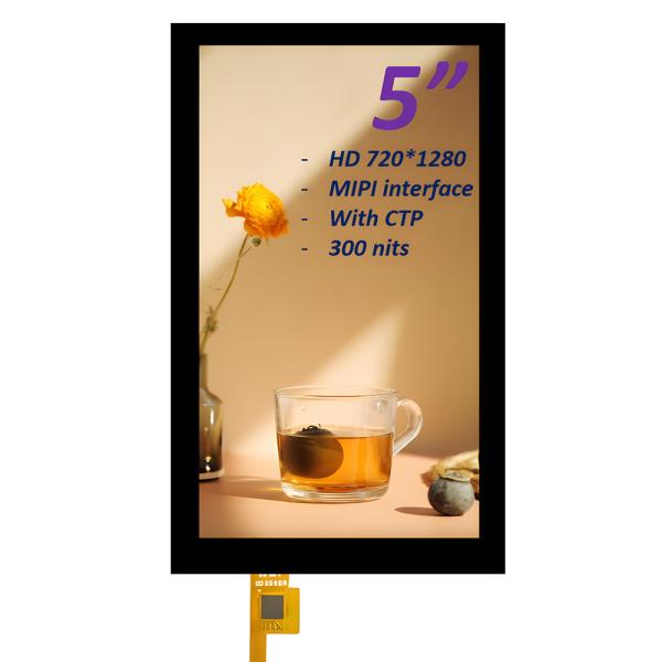 5 Inch TFT Display Manufacturer , Portrait Type 5 Inch PCAP TFT Display