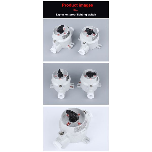 SW Series IP66 Explosion-proof Aluminum Alloy Lighting Switches uk standard wall switches