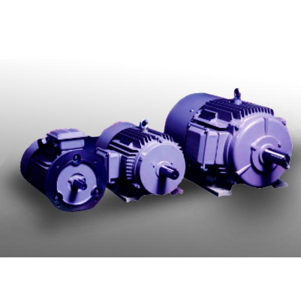 Quality Three Phase IP54 High Efficiency Permanent Magnet Motor for sale