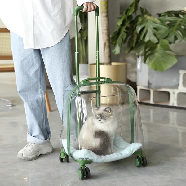 PC Material Clear Capsule Pet Travel Bag with Trolley Wheel Large Capacity Cat Dog Luggage Portable Transparent Holder