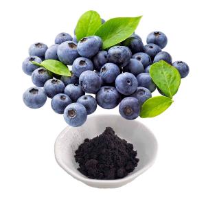 China Bilberry Extract Anthocyanidins wholesale