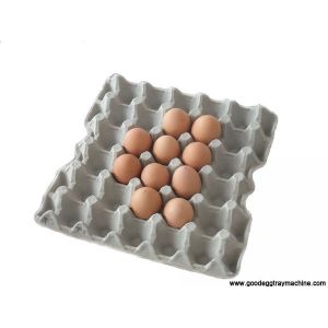 Single layer Paper Egg Tray Drying Line