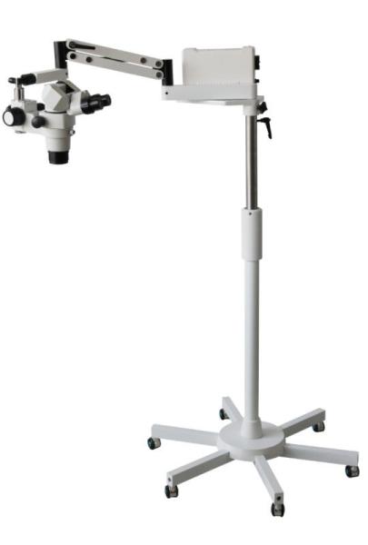 Quality Variable Dental Operating Microscope With 55mm-80mm PD Adjustable Range for sale