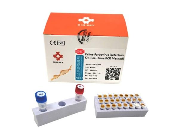 Quality Fluorescence Feline Cat Test Kit Parvo FPV Test Cat Real Time Quantitative for sale