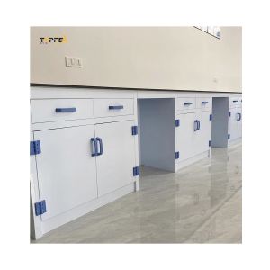 Cabinet Customized Polypropylene Lab Bench Durable High Performance