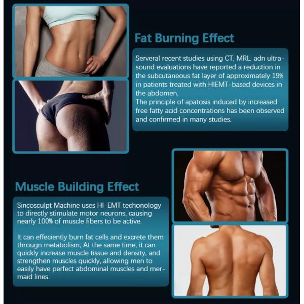 Body 4 Handles Ems Slimming Machine Rohs Approved