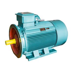 China High Efficiency 30kW Electric Motor Three Phase 40 HP AC Motor IP55 wholesale
