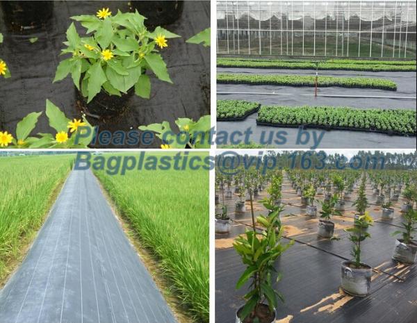 plastic agricultural mulch film, weel control fabric roll,prevent weed growing,weed barrier fabric,Weed Control Folding