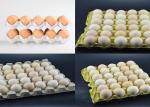Big Capacity Recycled Pulp Egg Tray Production Line Rotray Type Energy Saving