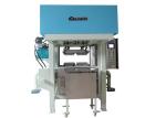 Paper Tray Molded Pulp Machine for Industuial Package / Double Side / Rotary