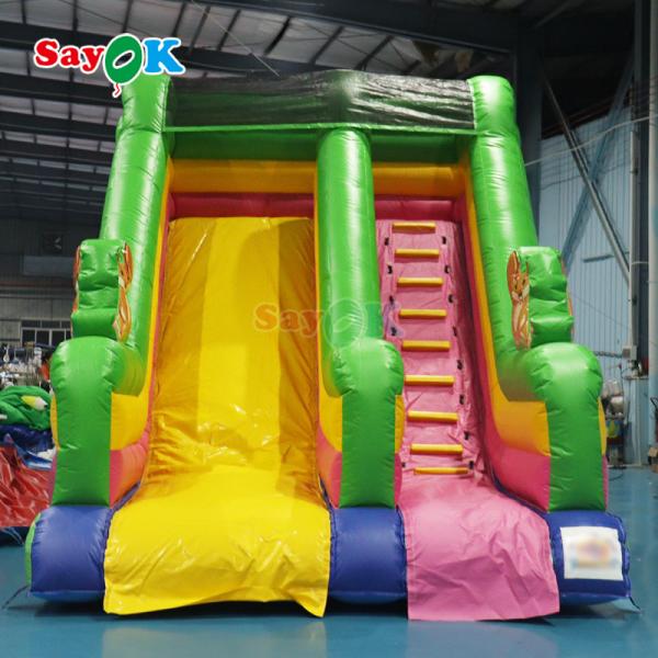 Inflatable Swimming Pool Slide PVC Combo Inflatable Slide and Pool Giant