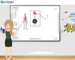 Classroom Multi Touch Smart Whiteboard Digital Ir Interactive Whiteboard With