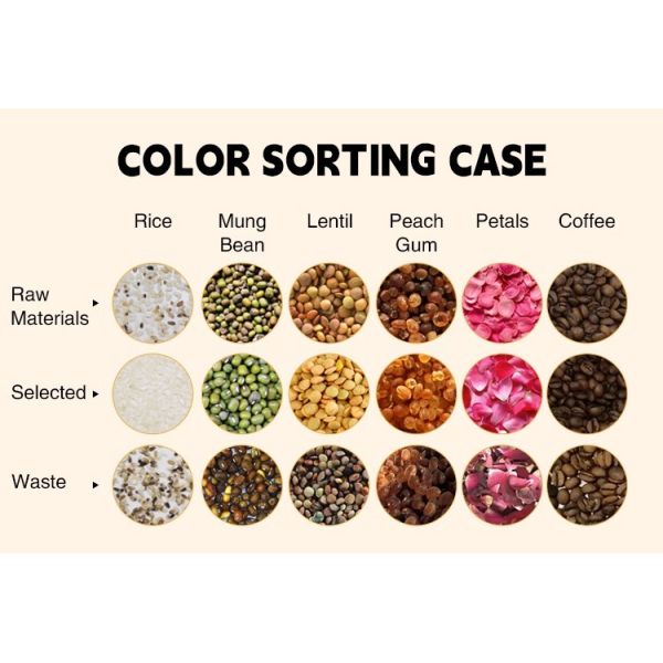 Rice Color Sorter Machine Coffee Beans Rice Garin Color Wheat Automatic Sorting Machine